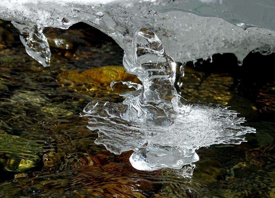 River Forest Winter