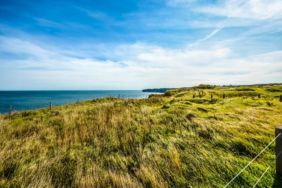 Nature Sky Grass