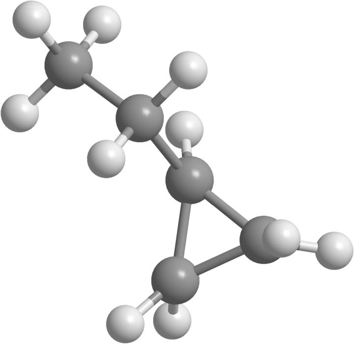 3d image of a molecule of cycloalkanes