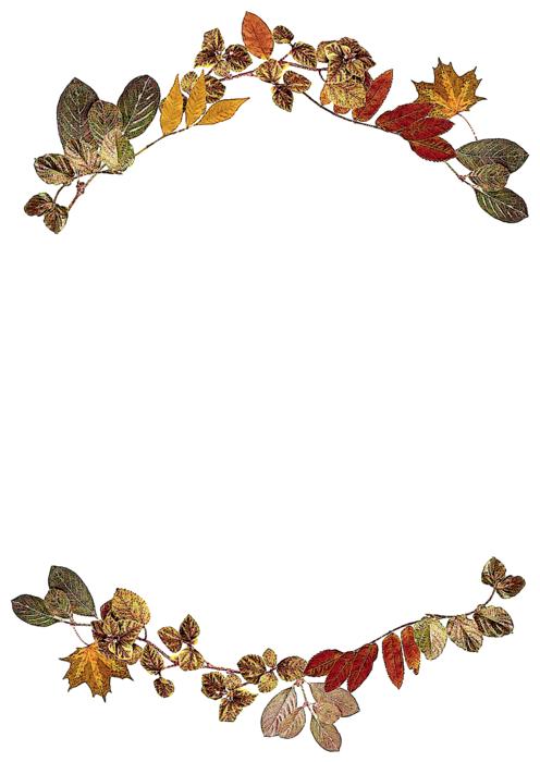 Leaves Autumn