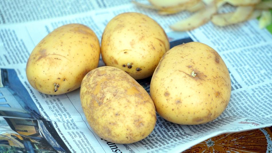 four potatoes on the paper