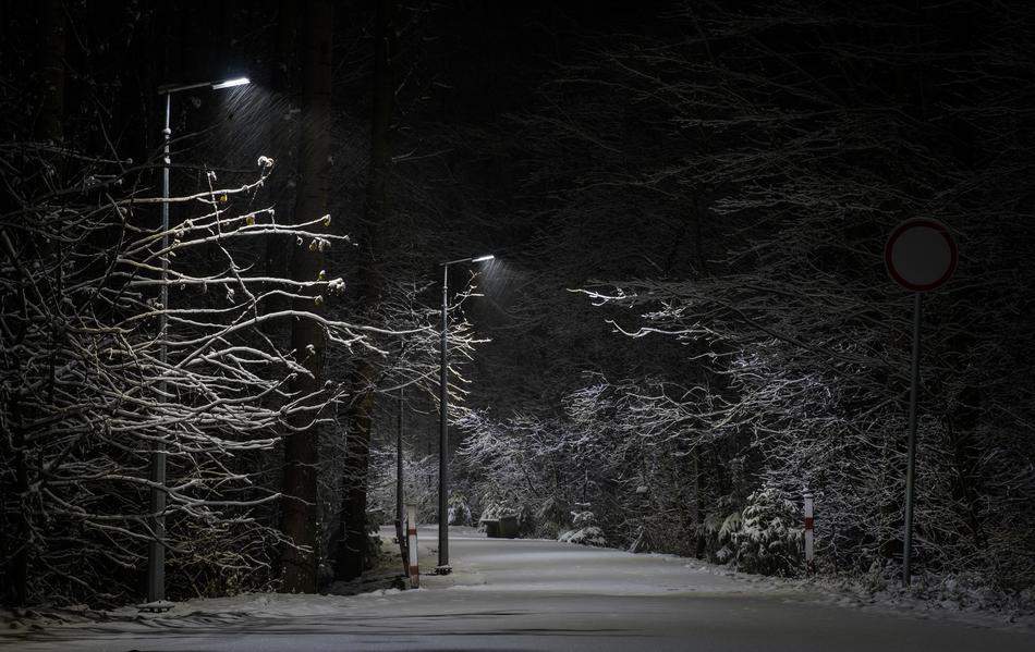 Darkness Tree No One