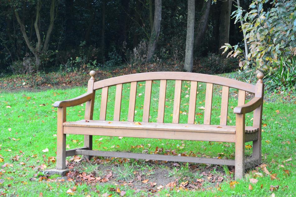wooden bench on green grass in foliage