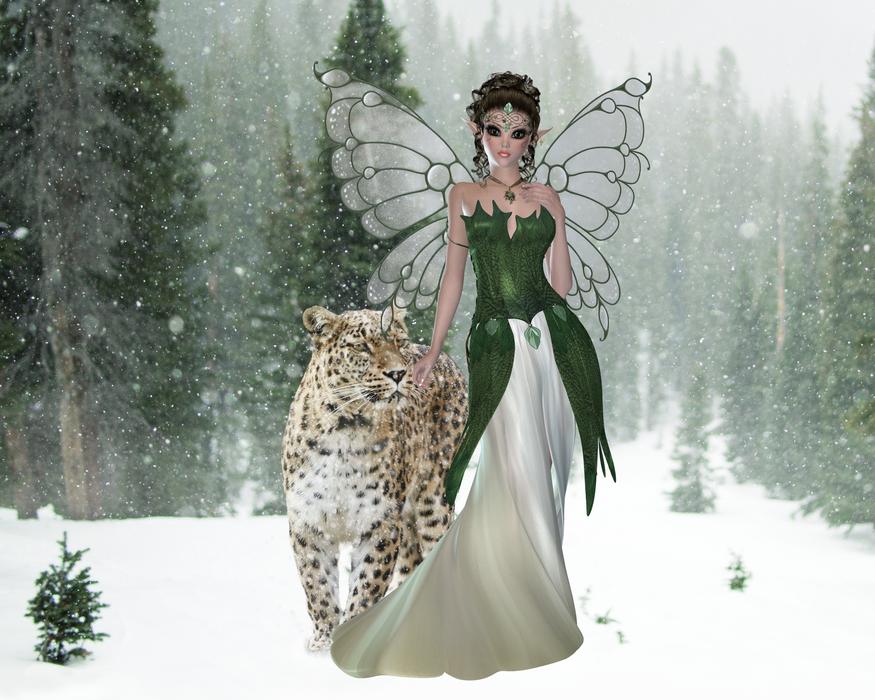 Winter Beautiful Nature