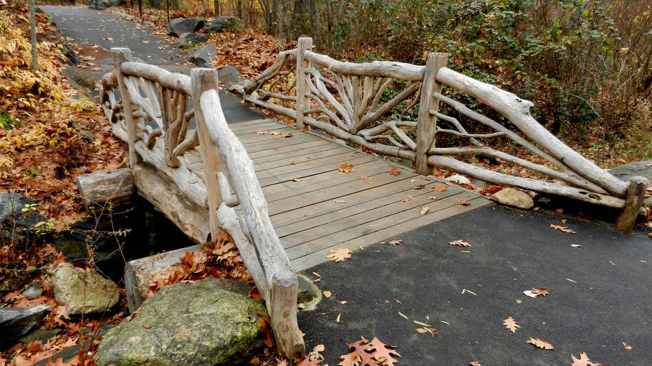 Nature Wood Outdoor