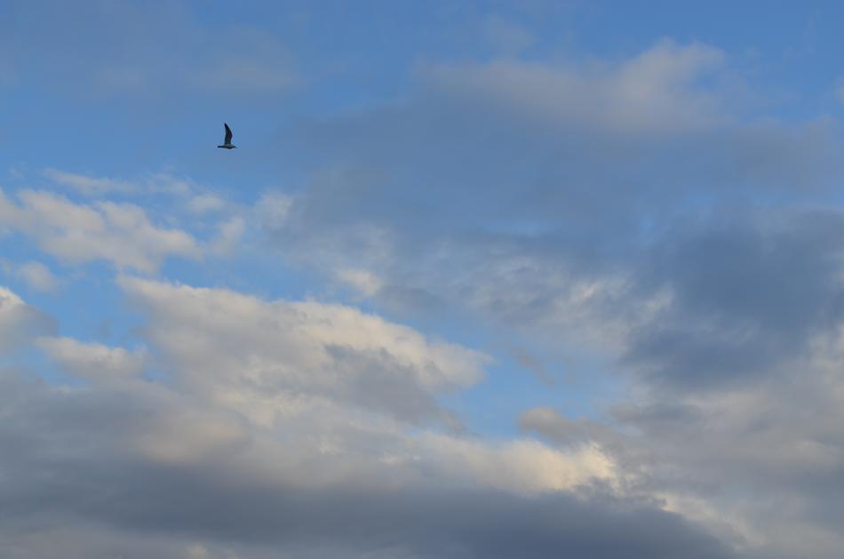 Sky Nature Outdoor