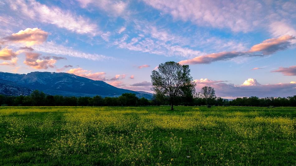 Nature Panoramic Landscape