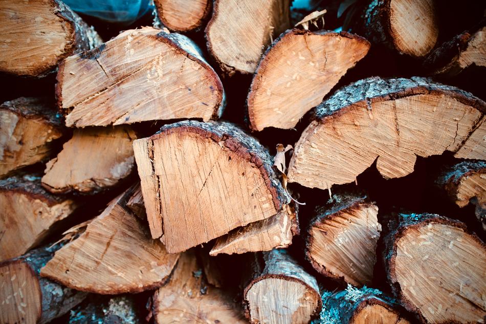 Wood Tree Firewood macro