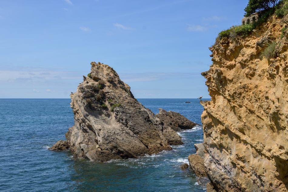 Water Sea Nature