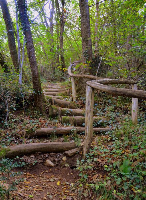 Stairs Wood The European Path