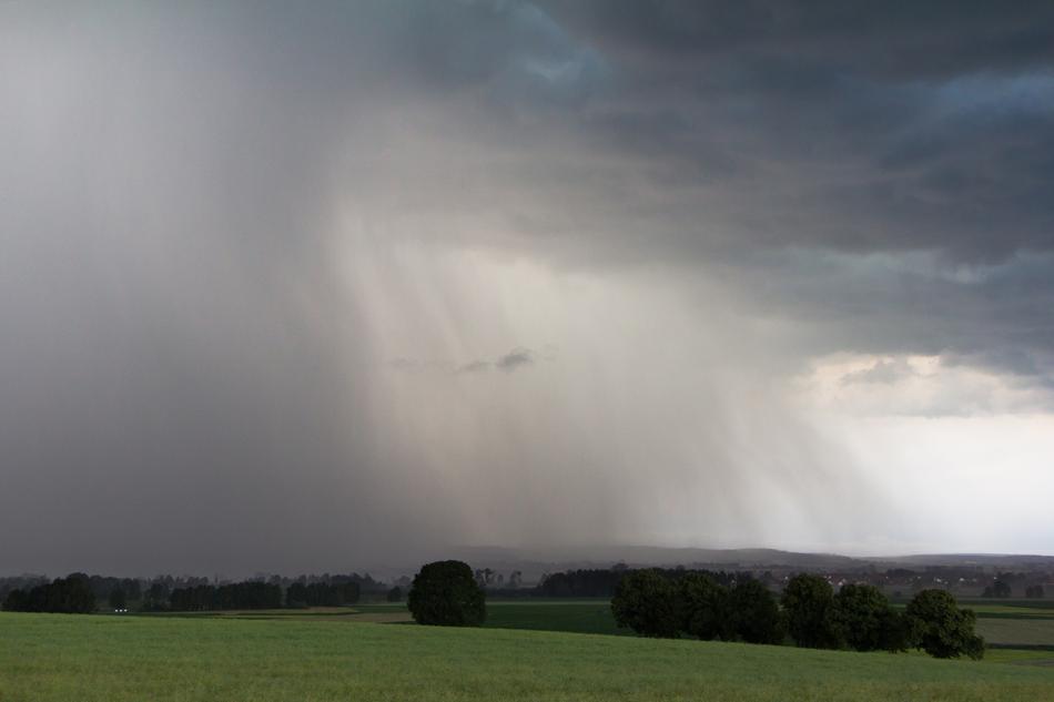 Landscape Rain Forward