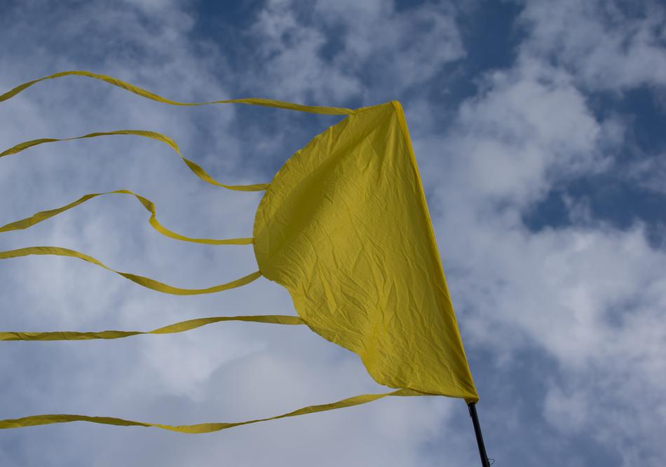 Flag Yellow Nature