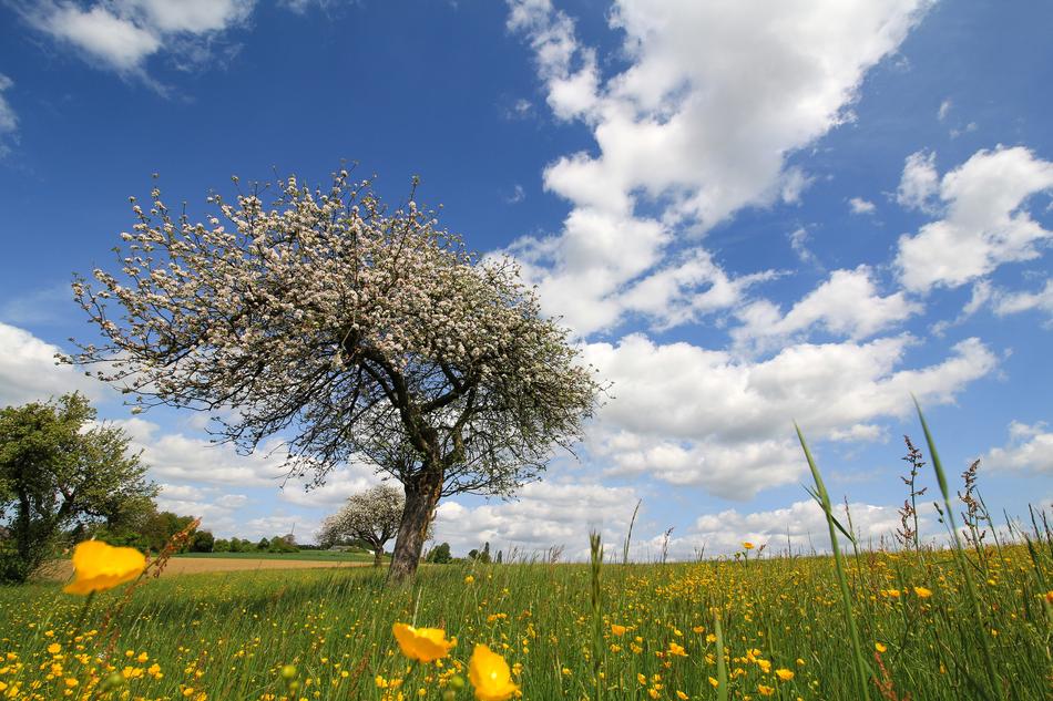 Landscape Nature Sky