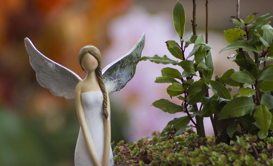 Angel Flower Wings