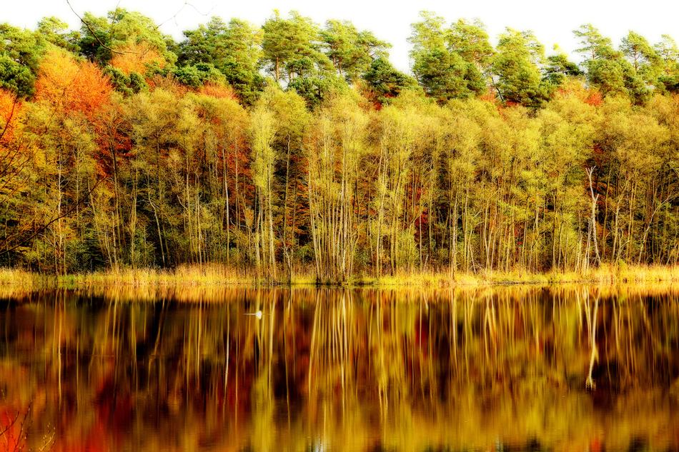 Nature Autumn Landscape