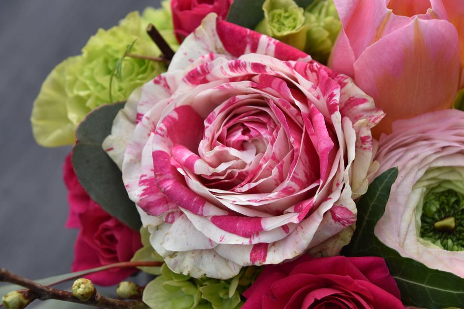 Flower Pink Petal