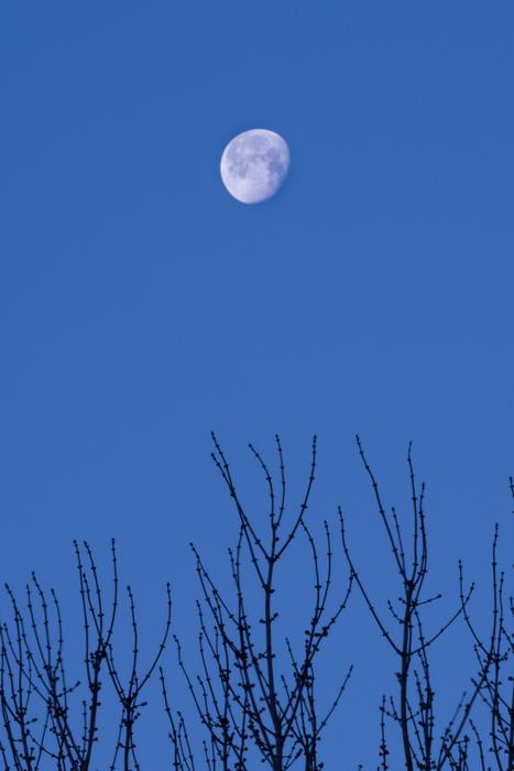 Sky Nature Moon