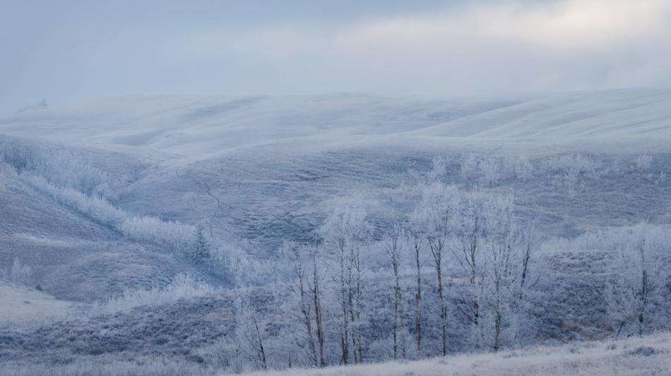 Winter Snow Nature