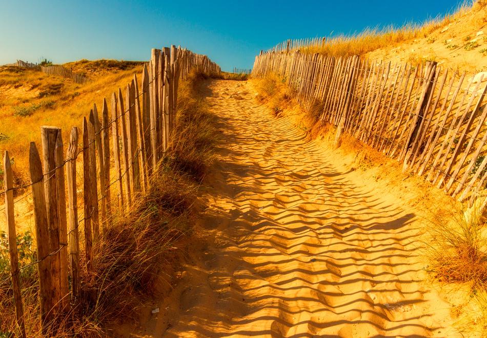 Nature Travel Landscape