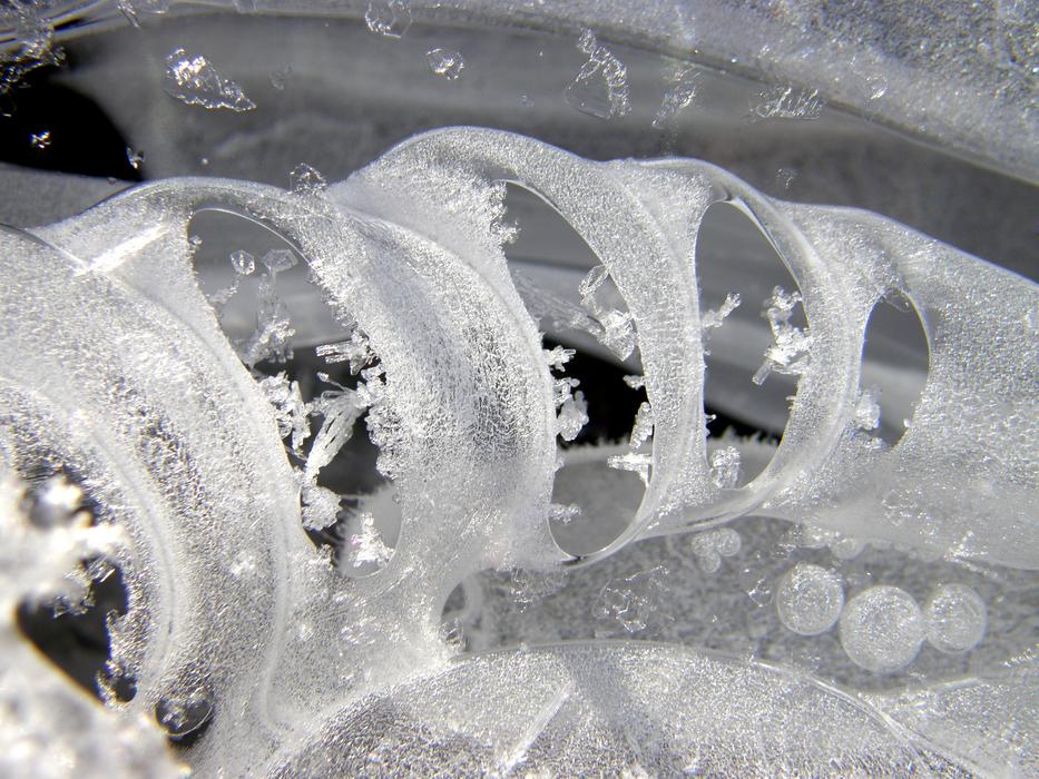 Leann Frost Cold