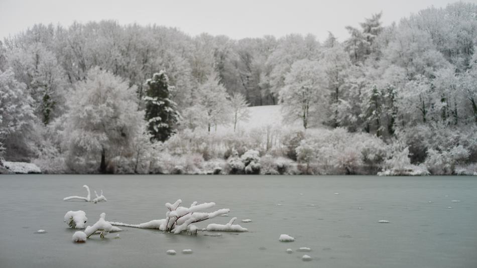 Winter Snow Frost