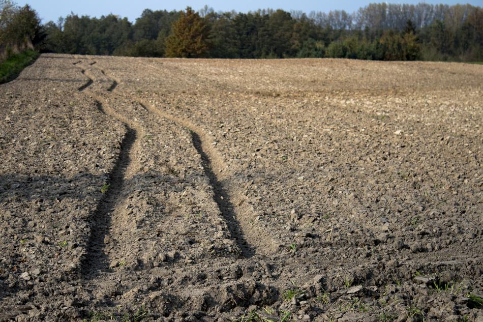 Way Field Traces