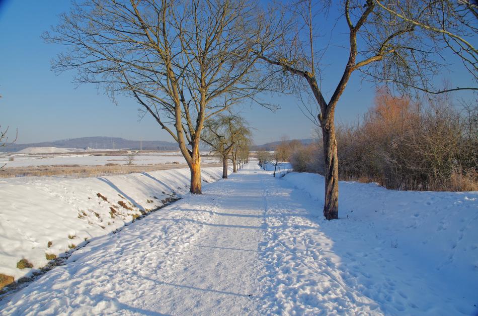 Winter Snow Frost