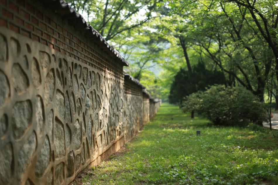 Wood Wall Stone