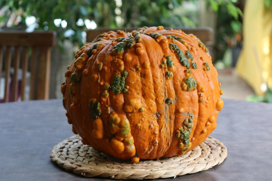 Fresh delicious pumpkin