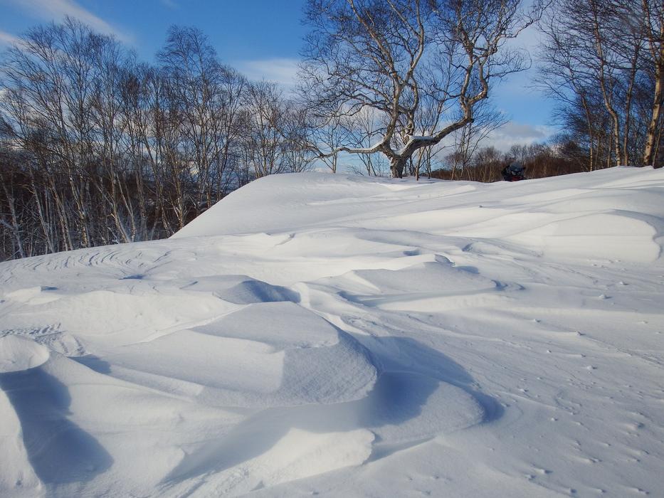 Winter Snow Cold