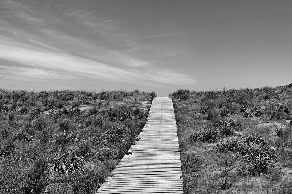 Boardwalk Away Horizon
