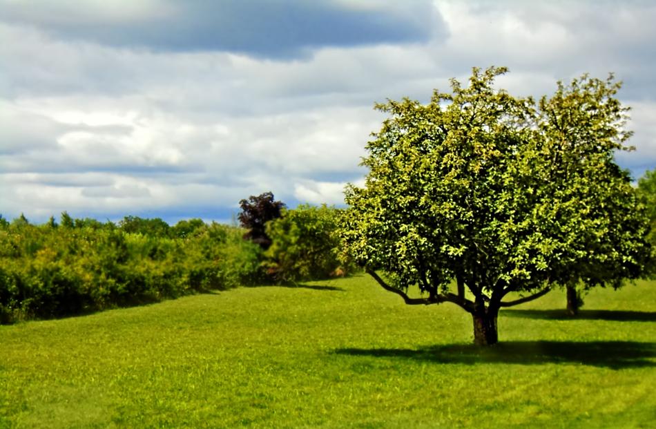 Landscape Scene Country