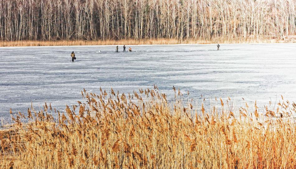 Winter Ice Freezers