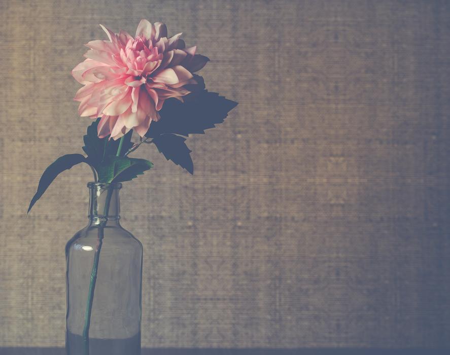 Vase Flower Vintage