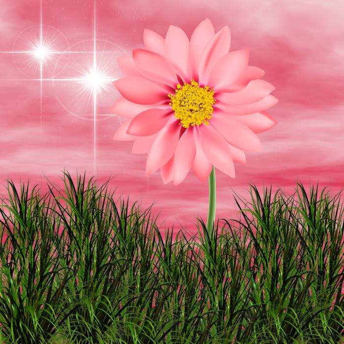 Flower Nature Summer