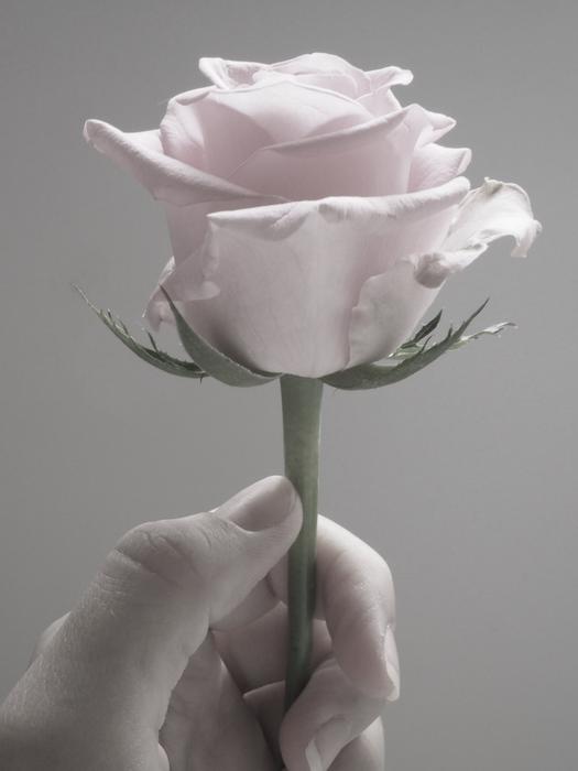 Flower Female Feminine