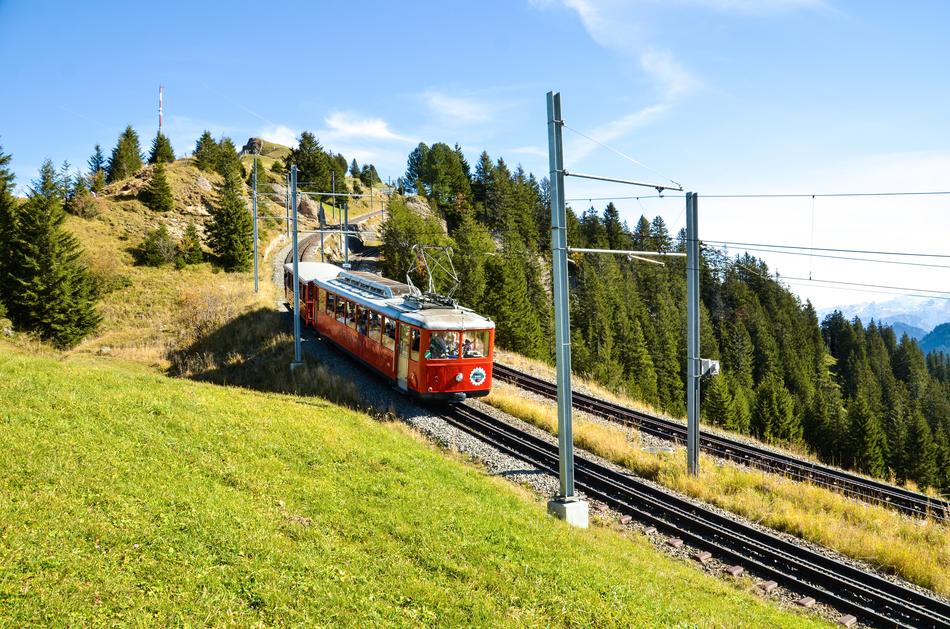 red tram in green grass