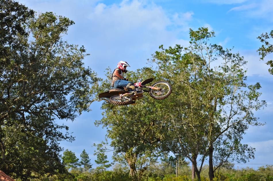 bicycle man trees