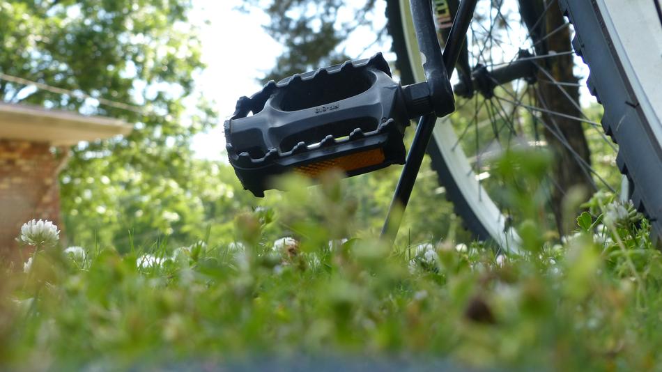 Bicycle Bike Wheel