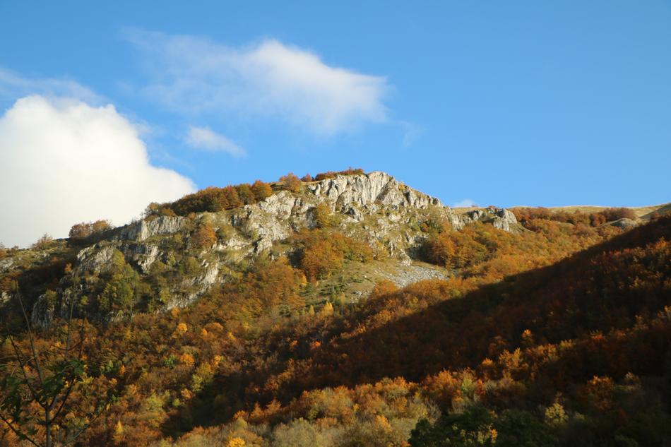 Fall Mountain Autumn