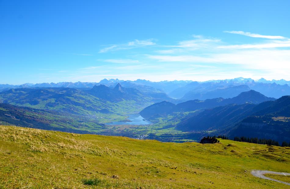 Mountains Foresight Alpine