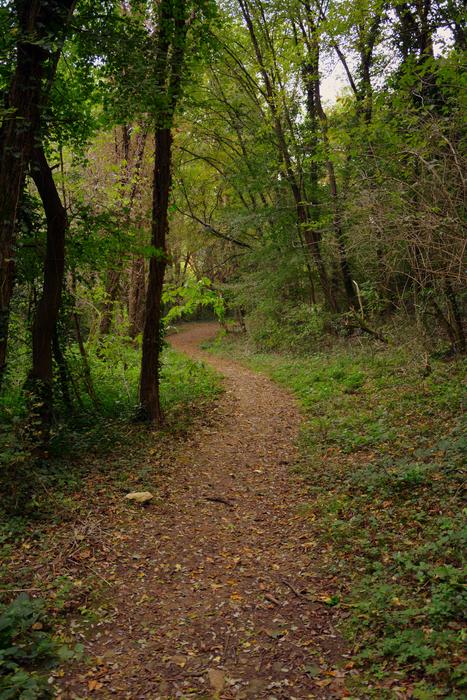 forest green road
