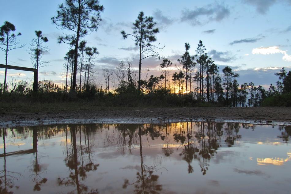 Water Nature Reflection