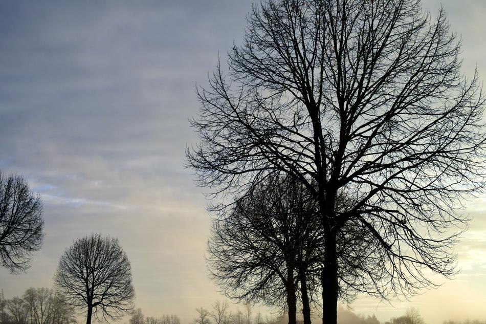 Sky Clouds Cold