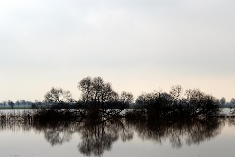 Nature Waters Reflection