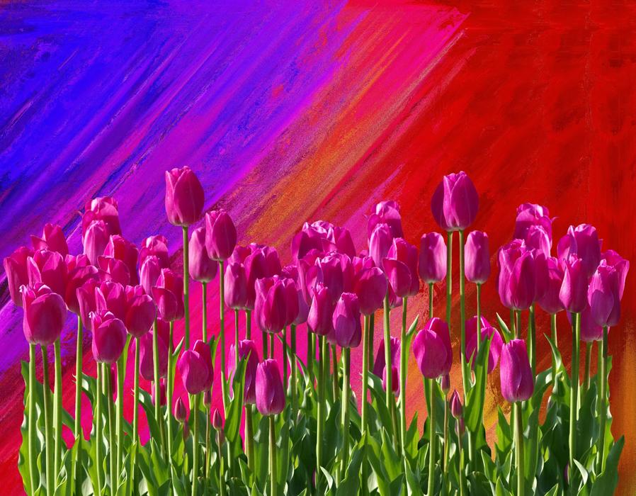 Spring Nature Flower