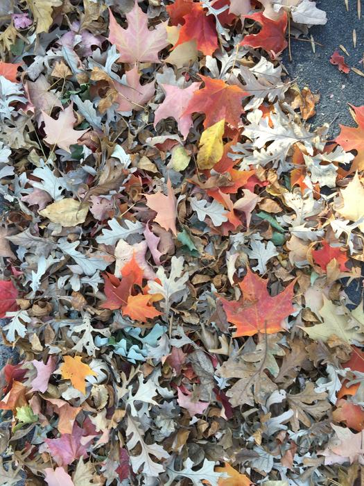 autumn longing