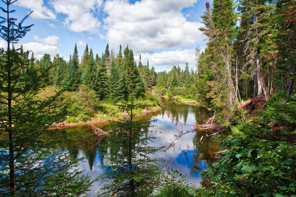 Algonquin Park Lake
