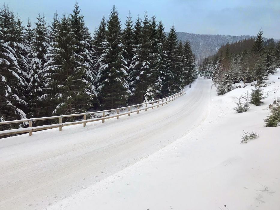 Snow Winter Cold