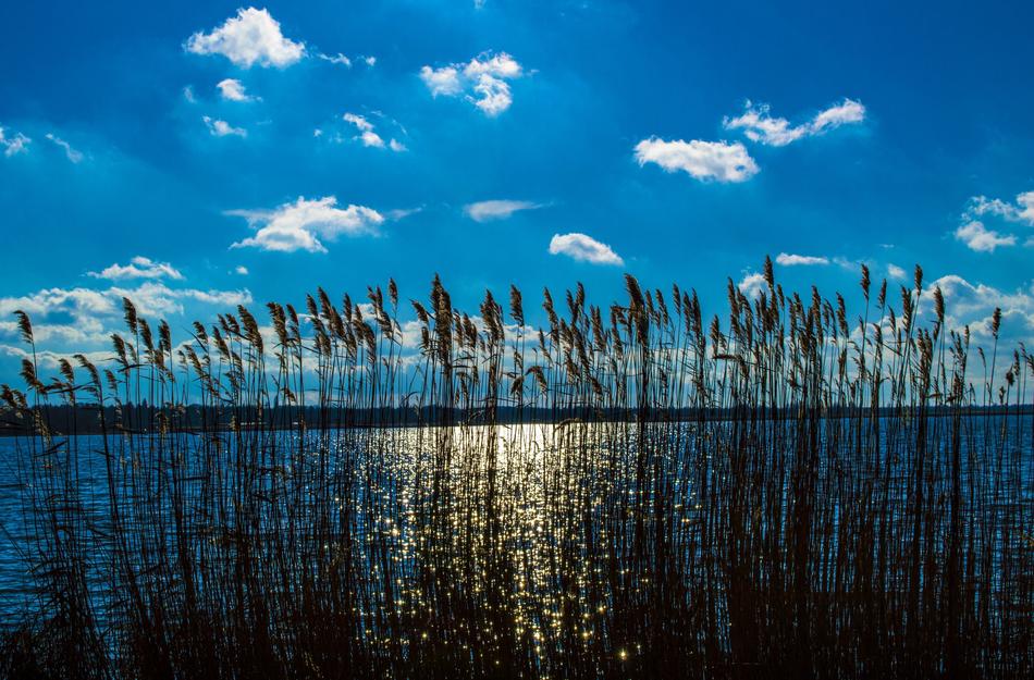 Body Of Water Heaven Nature